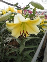 [1744 ConcaDor EVR No01.JPG]